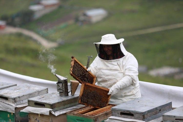 <p>Taleplerin her yıl arttığına işaret eden Civelek, "Her yıl bir &ouml;nceki d&ouml;nemden sarkan siparişler var. Ge&ccedil;en yıldan yaklaşık bin 500 kişi m&uuml;racaat etti. Ge&ccedil;mişten gelen 1,5 tona yakın bir talep var.</p>
