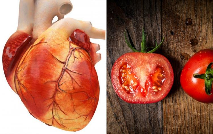 <p><span style="color:#B22222"><strong>KALP / DOMATES</strong></span></p>

<p>Dış görünüş olarak her ne kadar benzemezede iç yapısı kalbi andırır. Kanaları ve damarları olan domates güçlü bir antioksidandır. Bu sayede kalp damarlarında toksinleri azaltır. Kan akışının ve kalp pompalanmasını destekler. </p>
