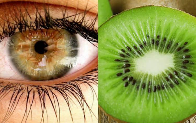<p><span style="color:#B22222"><strong>GÖZ / KİVİ</strong></span></p>

<p>Göz sağlığı için A ve E vitaminleri gereklidir. Bu vitaminler gözün görme kuvvetini artırır. Ayrıca hastalıklara karşı gözü korur. Kivi hem E vitamini bakımından oldukça zengin hem de iç yapısı göze birebir beznzer.</p>
