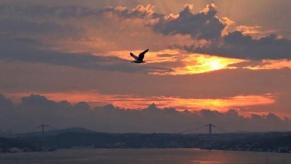 <p>İstanbul semalarında adeta renk cümbüşü yaşanırken, ortaya mest eden bir manzara çıktı. </p>
<div> </div>