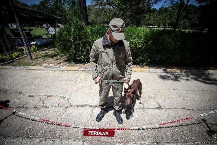<p>Taburda 7 farklı alanda köpek üretildiğini belirten Sayın, "Köpekler yavruluktan itibaren kapsamlı bir şekilde eğitilmektedir. Göreve hazır gelen köpekler, ardından ihtiyaca göre sevk edilirler. Fırat ve Zeytin Dalı Harekatı'nda bu köpekler başarıyla görev aldılar." dedi.</p>