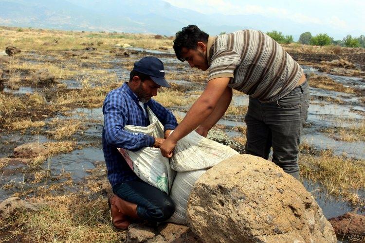 <p>Derviş pirincinin Türkiye'de sadece ilçenin Suriye sınırı boyunca uzanan bereketli volkanik arazisi üzerinde yetiştirildiğinin altını çizen Şahiner, yaklaşık 600 dönümlük alanda üretim yapıldığını belirtti.</p>

<p> </p>
