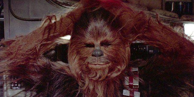 <p>Chewbacca (Star Wars Serisi)</p>
<p> </p>
