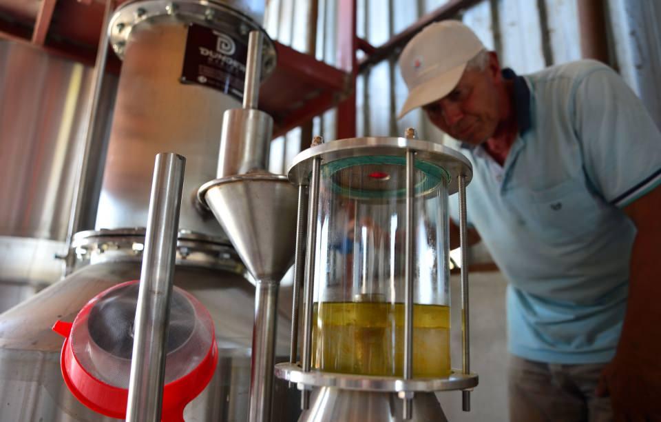 <p>Endemik ve aromatik bitkiler konusunda Gökçeada belki de önemli bir merkez olacak gelecek süreçte. Bu anlamda adayı iddialı bir noktaya ulaştırmak için yerel yönetim olarak bu tür üretimi ve üreticileri destekliyoruz.</p>
