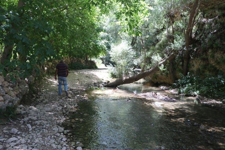<p>Ziyaretçiler gün içinde kanyonu gezebilir, ayrıca uygun alanlarda piknik yapılabilir. İsteyenler kanyon yamaçlarında bulunan mağaraları ve tarihi kalıntıları kısa süreli tırmanışlarla gezebilirler. </p>