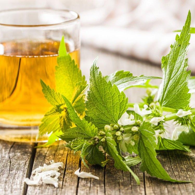 <p><strong>-</strong> Bağışıklık sistemini güçlendirerek üst solunum yolalrı hastalıklarına karşı vücut direncini artırır.</p>
<p><strong>-</strong> Karaciğer, safra kesesi ve akciğer organlarının toksinlerde arınmasını sağlar.</p>
<p><strong>-</strong> Düzenli tüketildiğinde hücre yenilenmesini sağlayarak cildin daha parlak olmasını sağlar. Ayrıca saç köklerini güçlendirerek dökülme ve kepeklenmenin önüne geçer.</p>