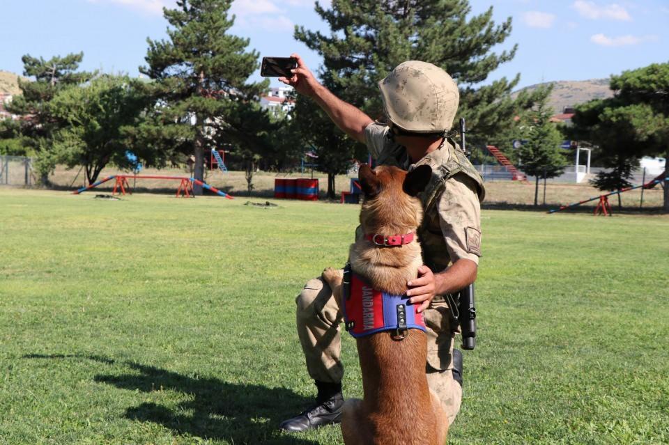 <div>JAKEM’de eğitimlerine devam eden köpeklerin yaptıkları ise izleyenleri hayrete düşürüyor. </div>