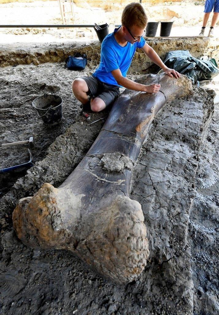 <p>Fransa'da 140 milyon yıllık dinozora ait uyluk kemiği bulundu. 2 metrelik kemik 500 kilo ağırlığında.</p>

<p> </p>
