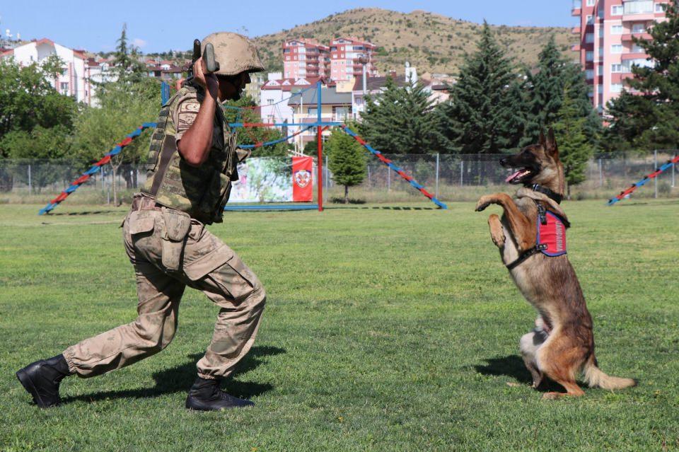 <div>Aynı zamanda JAKEM’de eğitilen köpekler yine eğiticileri ile birlikte sürünürken, iz takibinde bulunuyor. Eğitim alan köpekler en sonunda ise Türk bayrağına saygı duruşunda bulunuyor. </div>
<div> </div>