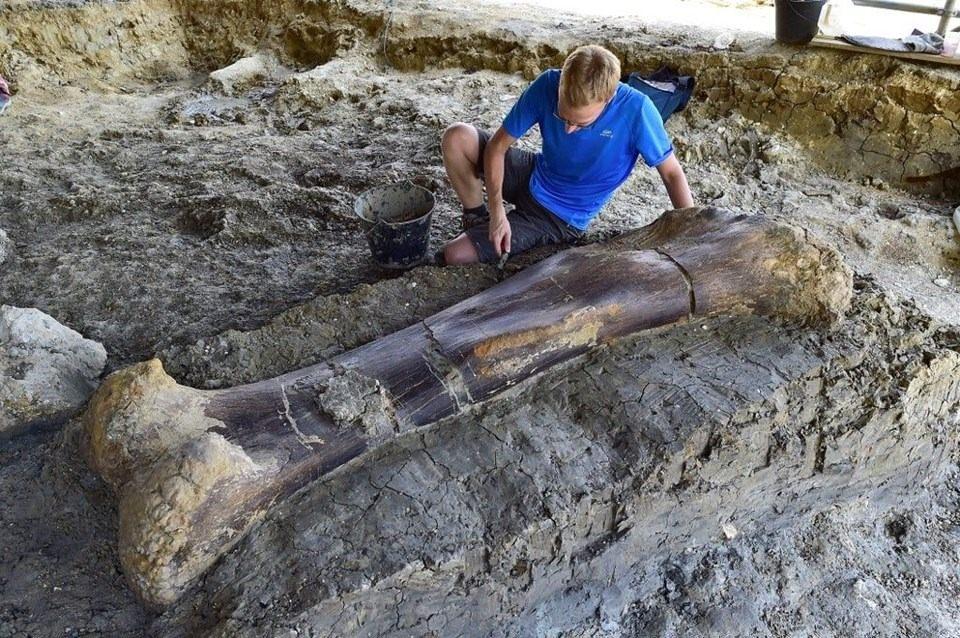 <p>Otçul olan Sauropod'lar dev ağaçlardan meyve toplamak için uzun boyunlara sahipti. </p>

<p> </p>
