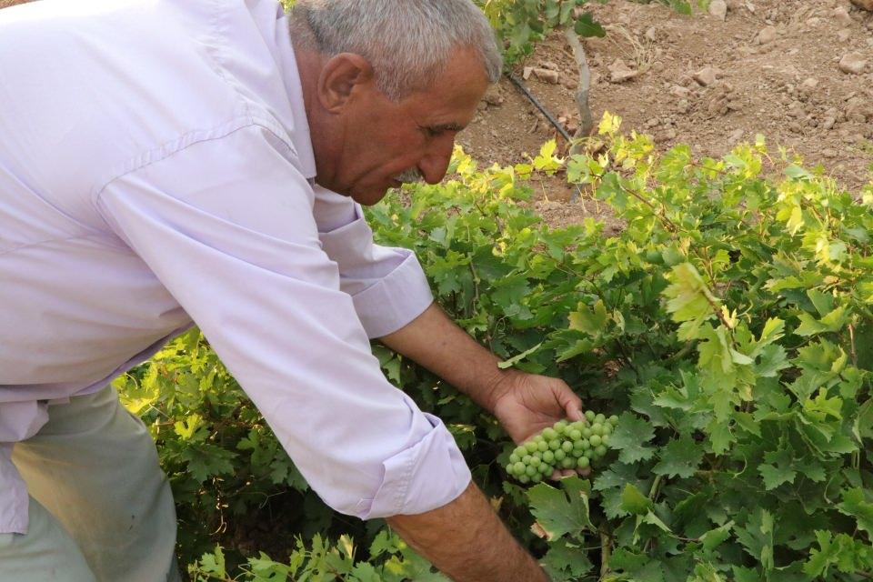 <p>Tek isteğim Edremit'teki çocuklarımdan, torunlarımdan bazılarının yanıma gelmesi. Çocuklarımı, torunlarımı çok özledim." ifadelerini kullandı.</p>
