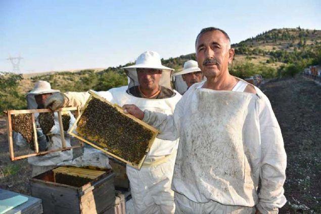 <p>Payar, şu bilgileri verdi: 'Bu aparatı arının içine koyuyoruz. 20 dakika sonra tekrar ikinci bir arıya oyuyoruz. 20 dakika sonra da alıyoruz. <br />
Günde 4 arıya koyuyorum 6-7 gibi. Tarlacı arılar içeride olduğu zaman verim daha yüksek oluyor. Gündüz koyduğumuz zaman arıların bir kısmı içeride kalıyor, verim düşük oluyor. <br />
Bu camın üzerindeki zehri biraz sonra kazıyacağız. 0.20 gram, 0.15 gram zehir çıkıyor.'</p>
