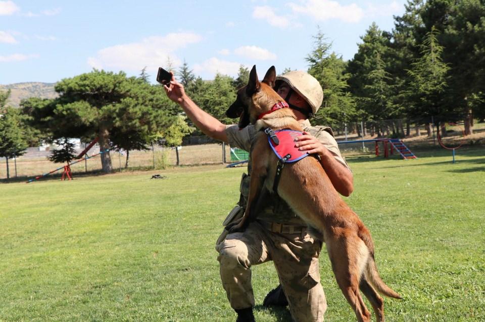 <div>Merkezde eğitilen köpekler, Türkiye’nin dört bir yanında jandarma güçleriyle birlikte görev yaparken, zorlu bir eğitim sürecinden geçiyor. </div>

<div> </div>
