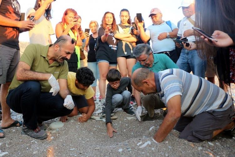 <p>Nesli t&uuml;kenme tehlikesiyle karşı karşıya olduğu i&ccedil;in koruma altına alınan caretta carettaların denize zorlu yolculuğu, Kemer il&ccedil;esindeki &Ccedil;ıralı sahilinde bug&uuml;n g&uuml;n&uuml;n ilk ışıklarıyla başladı.</p>
