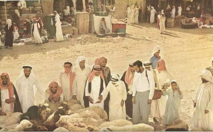 <p>Hacı adayları kurban kesmek için hayvan seçiyor.</p>
<p> </p>