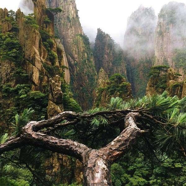<p>İşte dünyanın değişik yerlerinden en güzel doğa fotoğrafları...</p>

<p>Yellow Mountain, Huangshan, China</p>
