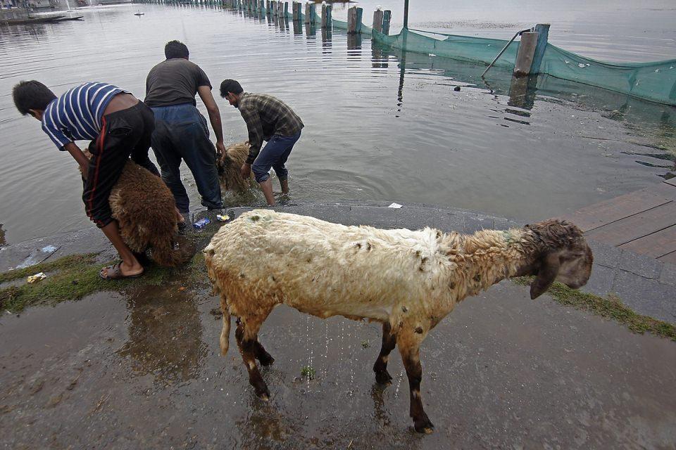 <p>Srinagar, Keşmir</p>
