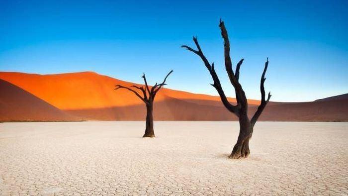 <p>Naukluft Park, Namibia</p>

<p> </p>
