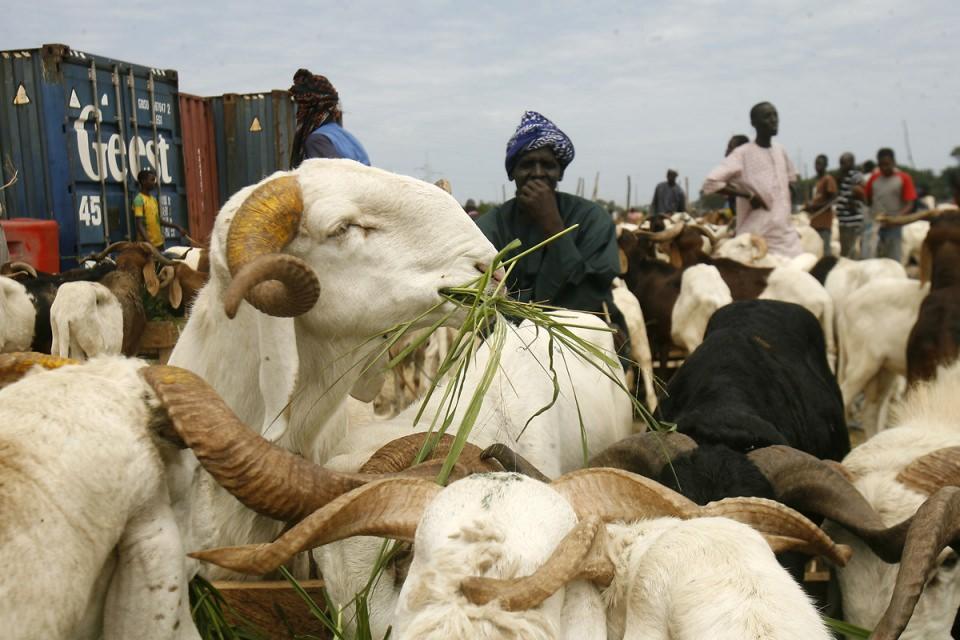 <p>Abidjan, Fildişi Sahili</p>
