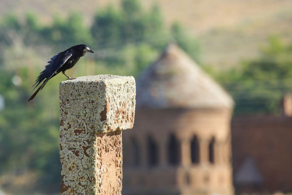 <p>Konaklama, alt yapı ve temel ihtiyaçlar konusundaki eksiklikler giderilirse Ahlat gereken yere kavuşur."</p>
