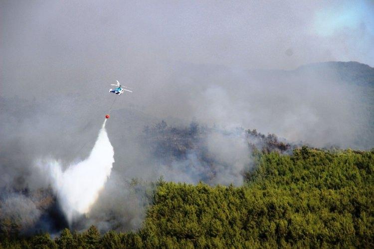 <p>Muğla Valisi Esengül Civelek, Bodrum'da çıkan orman yangınının rüzgarın etkisiyle büyüdüğünü söyledi.</p>