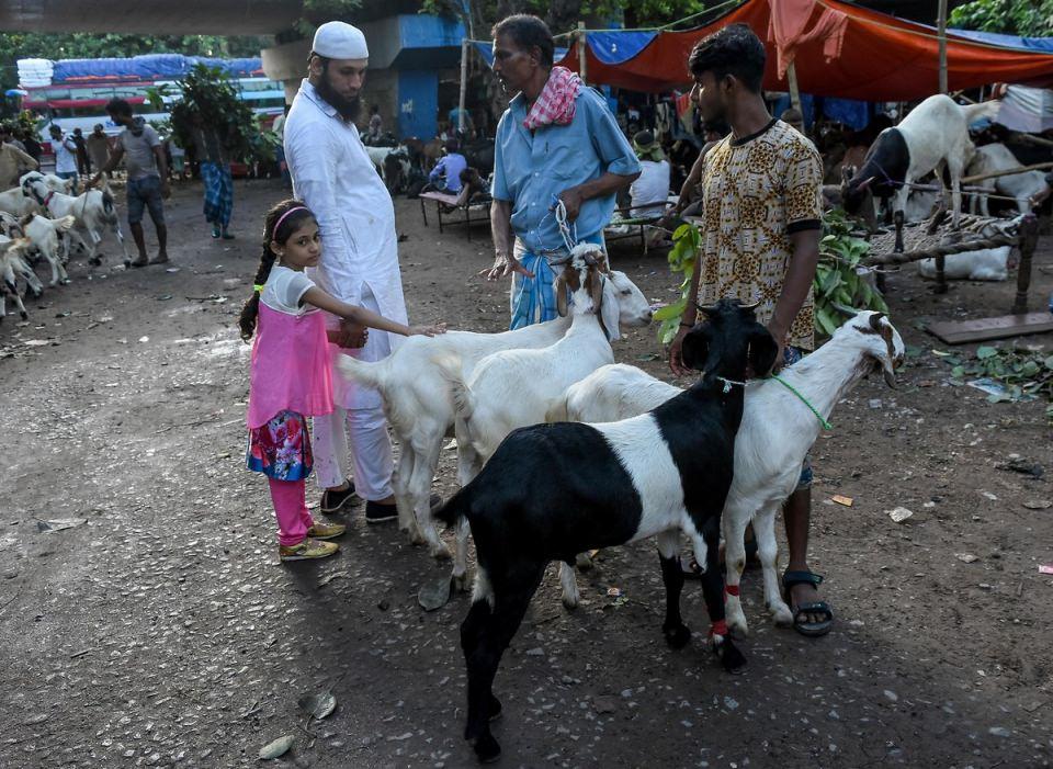 <p>Kalküta, Hindistan</p>
