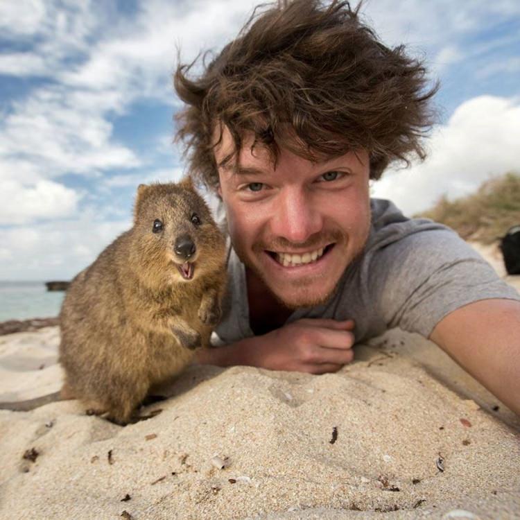 <p>Turizm sektöründe pazarlamacı olarak çalışan İrlandalı maceraperest Allan Dixon, 100’ü aşkın farklı hayvanla selfie çekildi. Bilgisayar mühendisliği eğitimi almasına rağmen film ve fotoğraf mesleğini bırakmayan Dixon, Avustralya hükümetiyle anlaşma yaptı ve Avustralya’nın doğal güzelliklerini çekerek geçimini sağladı. Avustralya’nın turizmine bu fotoğraflartla katkı sağlaması bir yana sosyal medyada sevilen bir fenomen oldu.Anlaşması bitmesine rağmen Allan fotoğraf çekimlerine devam ediyor.</p>

<p><span style="color:#800080"><strong>İŞTE HERKESİ İMRENDİREN O GÖRÜNTÜLER;</strong></span></p>
