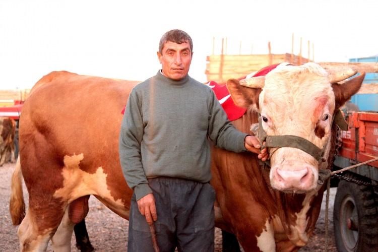 <p> "Böyle hayvan yetiştirmekten gurur duyuyorum" diyen Keyvan, "Gece gündüz sürekli hayvanlarla ilgileniyoruz. Bu iş sevilmeden yapılmaz. Mesleğimizi seviyoruz" ifadelerini kullandı. </p>
<p> </p>