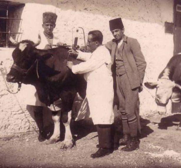 <p>Armağan, Osmanlı devrinde bilim adamı olmanın ayrıcalığına işaret ederek, ''Mesela bir alim üst düzeyden bir bürokratla bayramlaşmaya gittiğinde binek taşında karşılanır, iki ağa koluna girerek yukarı çıkarır ve efendinin odasına girince,</p>