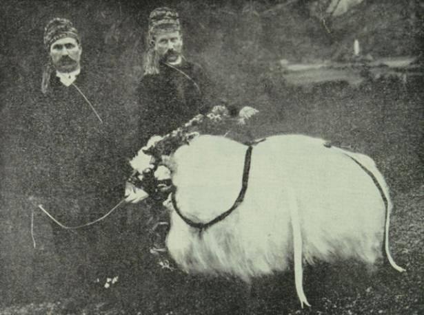 <p>Daha sonra padişahın Beyazıt'ta bugünkü İstanbul Üniversitesinin bahçesinde bulunan Eski Saray'a gittiğini ve orada kalan yaşlı harem kadınlarına ve harem ağalarına bağışlarda bulunduğunu biliyoruz.</p>