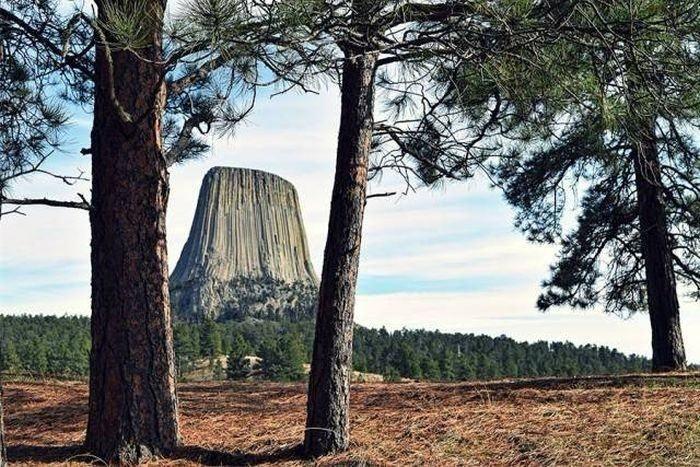 <p>Devils Tower National Monument, WY</p>

<p> </p>
