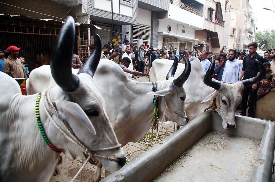 <p>Karaçi, Pakistan</p>
