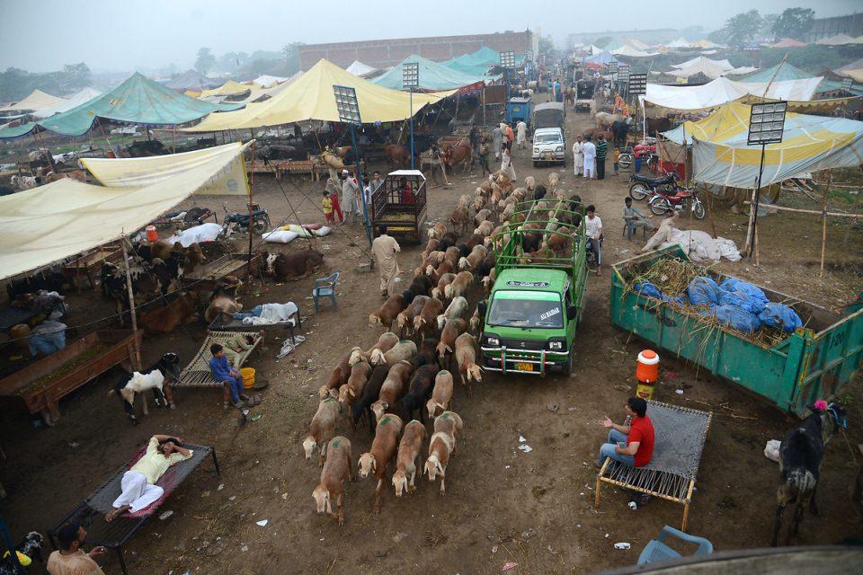 <p>Lahor, Pakistan</p>
