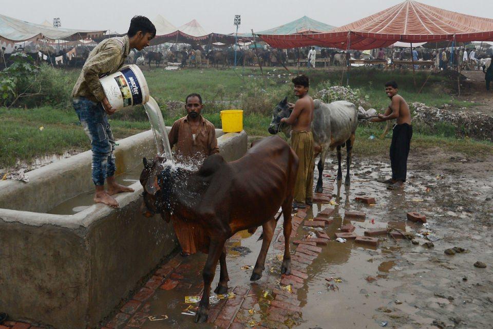 <p>Lahor, Pakistan</p>

