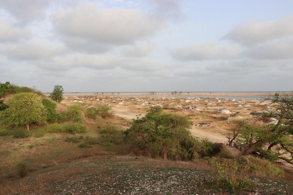 <p>Saloum Deltası'ndaki Joal-Fadiouth ile Djiffer arasındaki Palmarin, doğal mangrov rezervi, "hayat ağacı" olarak da bilinen baobab ağaçları ile bölgenin göz bebeği olarak görülüyor.</p>

<p>Düz bir vadide baobab ağaçları arasında at arabası ve rehber eşliğinde yapılan gezide güneşin batışını seyretme imkanı turistlerin ilgisini oldukça çekiyor.</p>
