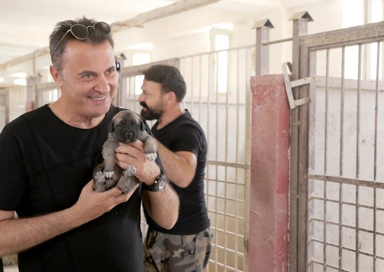 <p>Köpekleri çocukluğundan beri çok sevdiğini dile getiren Orman, "Köpekleri oldum olası severim. Kangallar ülkemizin gururu, asil hayvanlar." diye konuştu. </p>

<p> </p>
