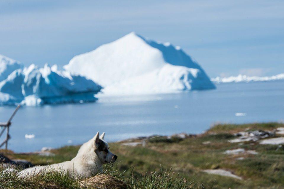 <p>ABD Başkanı Donald Trump'un, Danirmarka'ya bağlı özerk bölge Grönland'ı satın almak istediğine yönelik açıklamaları üzerine gözler bu ilginç adaya çevrildi. </p>
