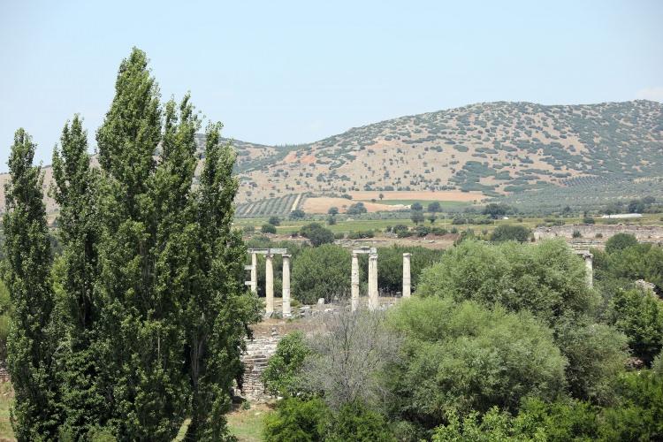 <p>Kazı Başkanı Prof. Dr. Smith, şöyle devam etti:</p>