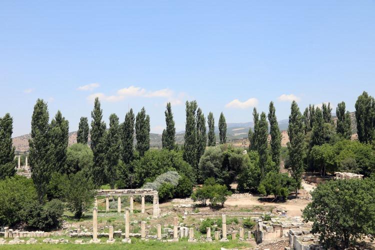 <p>Kazı Başkanı Prof. Dr. Smith, kentte heyecanlı bir kazı sezonu yaşadıklarını, İmparator Diocletianus döneminde duvarlara kazınan "Tavan fiyat fermanı" ilişkin başlatılan 5 yıllık projenin ikinci yılında olduklarını söyledi.</p>