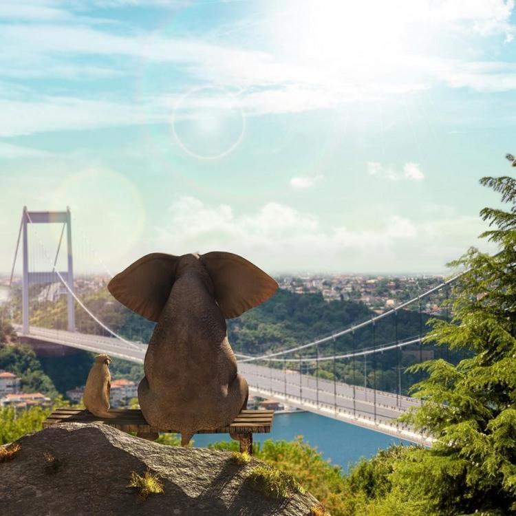 <p>İstanbul'un eşsiz manzaralarını kendi hayal gücüne dayalı objektifleriyle dolduran, tabloları süsleyen ve filmlere konu olan grafik tasarımcı Yasin Yaman, İstanbul'u çok farklı bir şekilde tasvir etti.</p>
