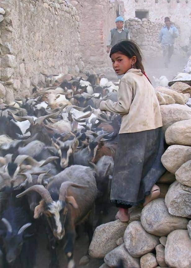 <p>G&uuml;n&uuml;m&uuml;z Pakistan&rsquo;ında M&uuml;sl&uuml;man kadınların başı a&ccedil;ık gezmeleri m&uuml;mk&uuml;n değil. Ger&ccedil;ekte yakın &ccedil;evreden kız aldıklarına da bakılırsa b&uuml;t&uuml;n bu iddialar Avrupalı k&ouml;kenli olduklarını vurgulamak i&ccedil;in ortaya atılmış olmalı.</p>

<p>&nbsp;</p>
