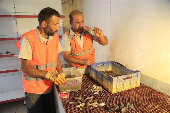 <p>Bir kere en büyük değer nadirliğinden geliyor. Diaspor kristali elmastan 10 bin kat daha nadirdir. Diaspor, dünyada bir tek bölgeden çıkar ve renk değiştirme özelliğine sahip 5-6 taştan biridir. Madenden çıktığında irili ufaklı parçalar halindedir. Bunların çoğu mattır, incedir. Kalınca ve kesilebilir şeffaflıkta olanları ise kesime uygundur.</p>