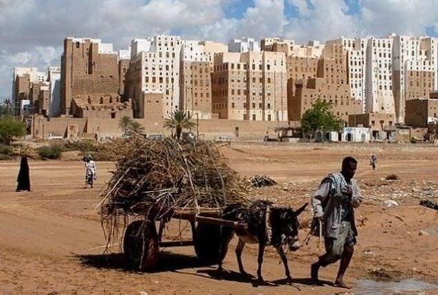 <p>Yemen: Kadın erkek farkı</p>

<p> </p>
