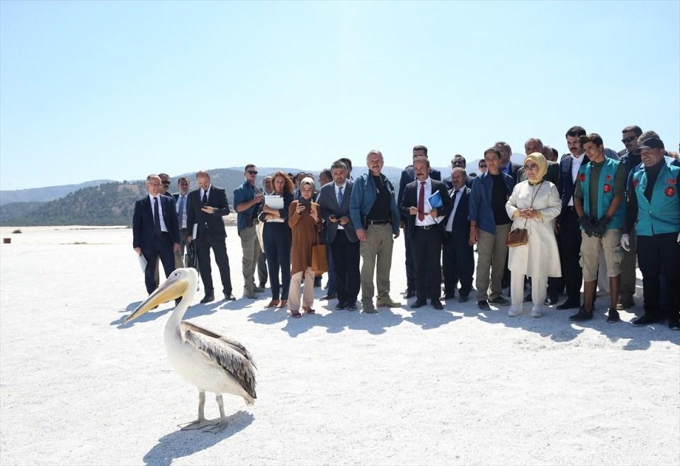 <p>Türkiye Cumhurbaşkanı Erdoğan'ın eşi Emine Erdoğan, Burdur'un Yeşilova ilçesinde yer alan Salda Gölü'nü gezdi, burada yürütülen proje kapsamında bilgi aldı. </p>

<p> </p>
