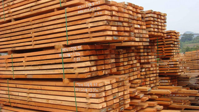 <p><strong>AĞA&Ccedil;,AĞA&Ccedil; &Uuml;R&Uuml;NLERİ VE MANTAR &Uuml;R.</strong></p>

<p>2019: 3.440 TL<br />
2018: 2.794 TL</p>

<p>Değişim: %23</p>
