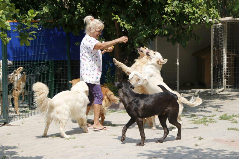 <p>Almanya'da anestezi uzmanlığından emekli olduktan sonra T&uuml;rkiye'ye d&ouml;nen 63 yaşındaki Aylin Yıldız Schwarz, 19 yıl &ouml;nce Bodrum'da satın aldığı yalıya yerleşti.</p>

<p>&nbsp;</p>
