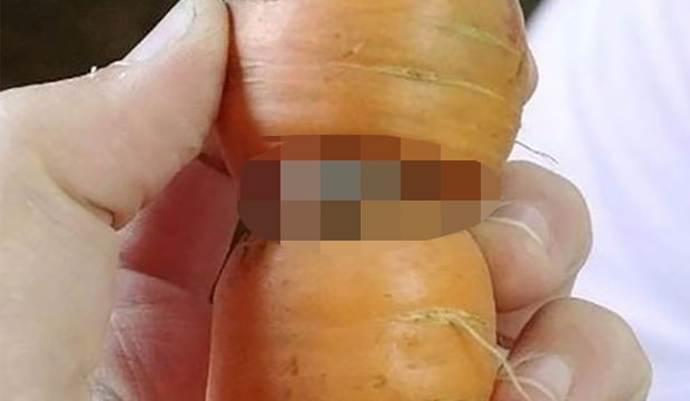 <p>Dünyanın farklı yerlerinden insanların başına gelmiş, birbirinden tuhaf kareler.</p>