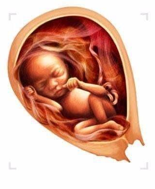 <p>D&ouml;llenmeden sonra &ccedil;ocuğun boyu 5 milyon kat buyur...</p>

<p>&nbsp;</p>
