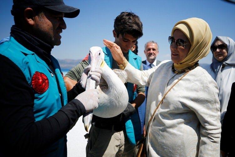 <p>Erdoğan, tedavisi tamamlanan bir pelikanın doğal yaşamına bırakılmasına yardımda bulundu.</p>
