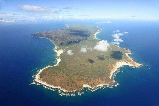 <p>Niihau </p>
<p>Yöreye özgü vahşi yaşamı koruma amaçlı çoğu ziyaretçiye kapalı egzotik Hawaii adası. Niihau, yerleşime müsait en büyük yedinci Hawaii adası. Bu adada hiçbir yol asfaltlı değil. Ayrıca burada su tesisatı, elektrik, mağaza veya restoran da yok.</p>